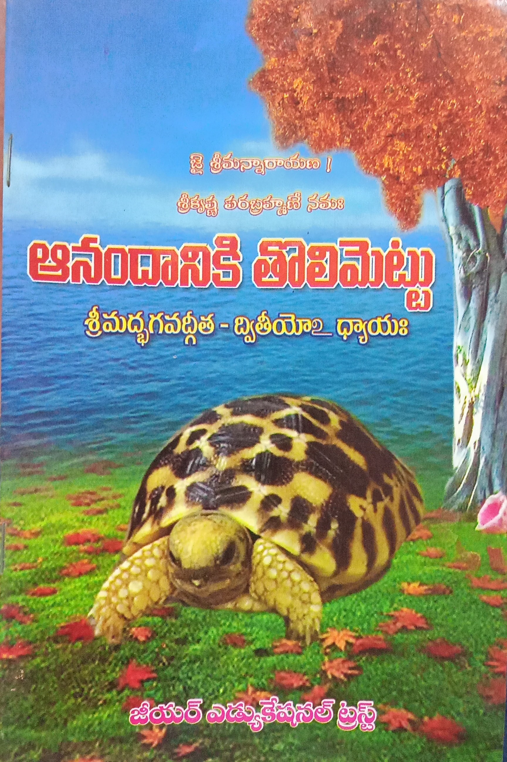 ANADANIKI TOLIMETTU (BHAGAVADGEETHA 2ND PART)